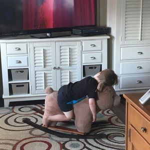 Meet your Posher, Benjamin